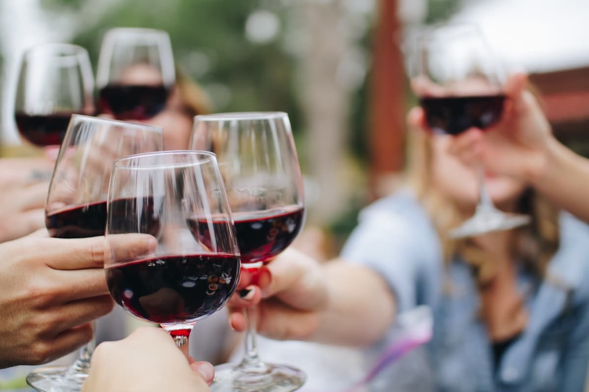 Selección de vinos de la bodega
